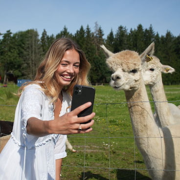 alpakka-selfie