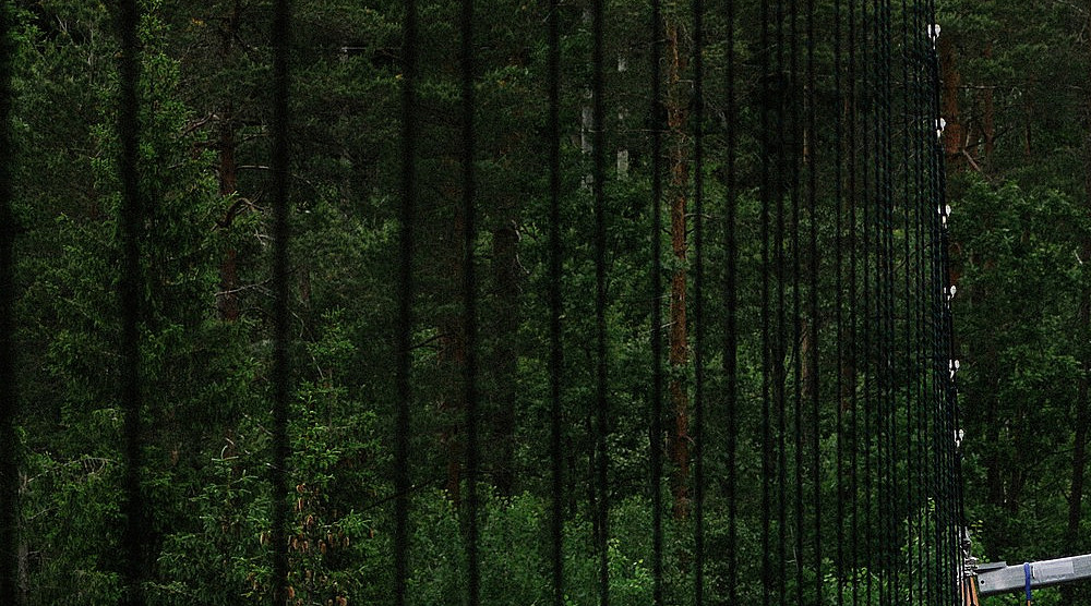 Bungyheis Experience for to