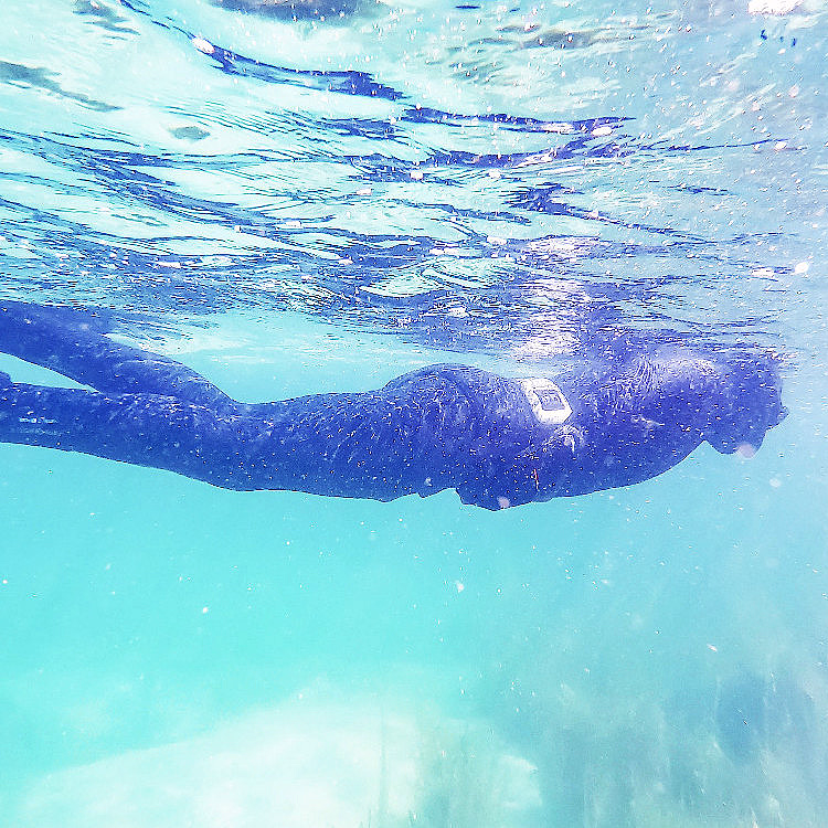Snorklesafari