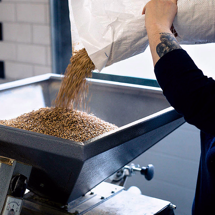 Ølsmaking og bryggeriomvisning