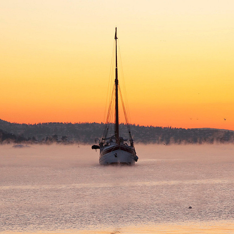 Vintercruise 