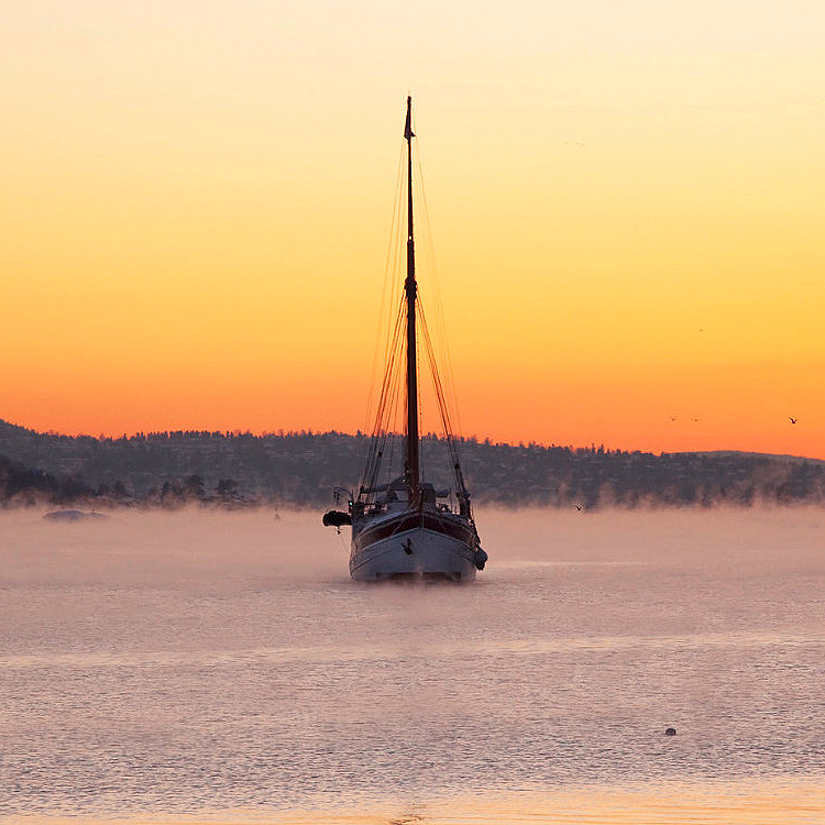Vintercruise