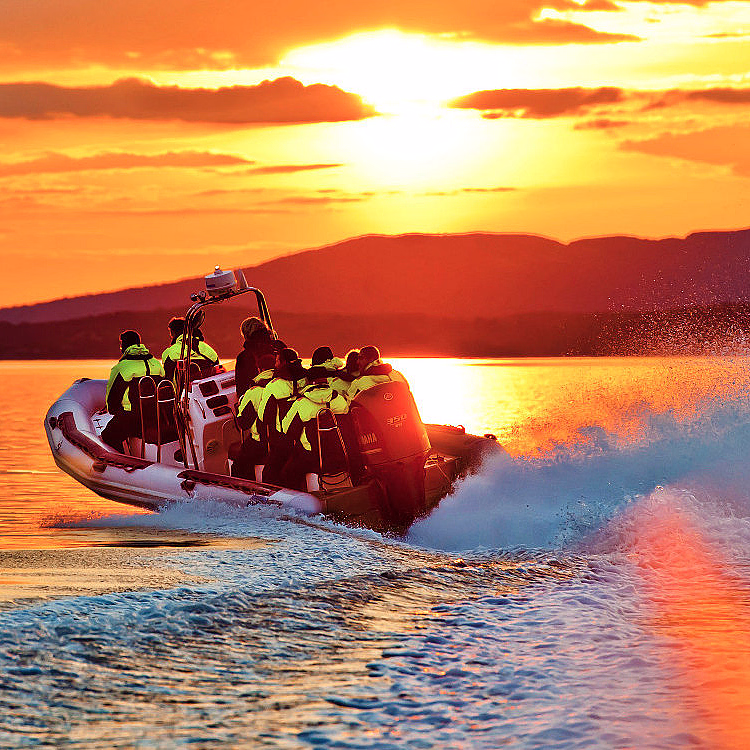 Lysefjorden RIB Safari