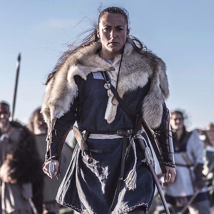 The Viking Planet