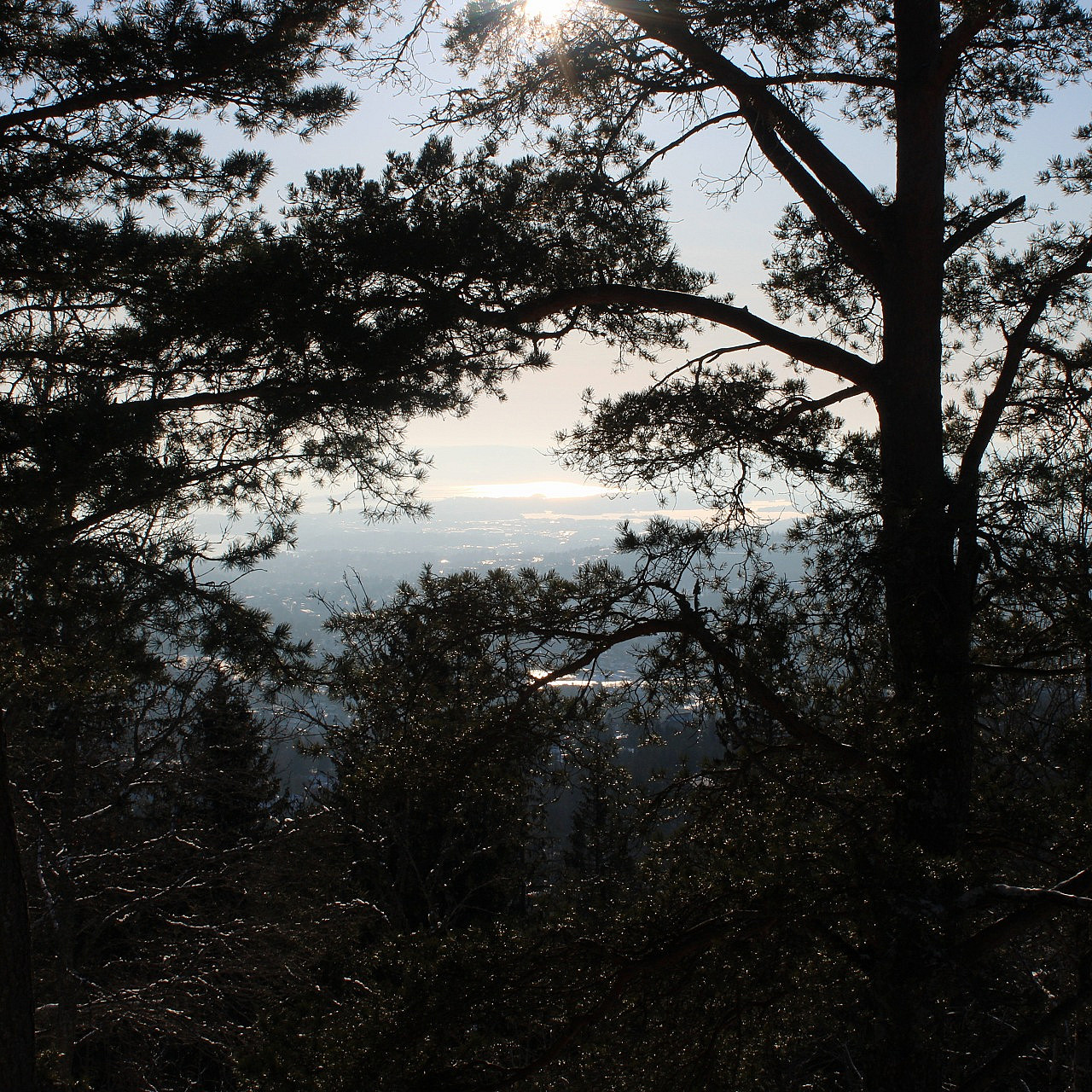 Oslo Fjordpanorama hiking tour