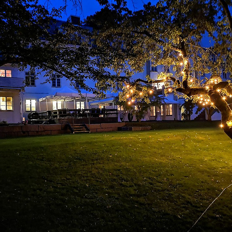 Herregårdsopphold og hundekjøring