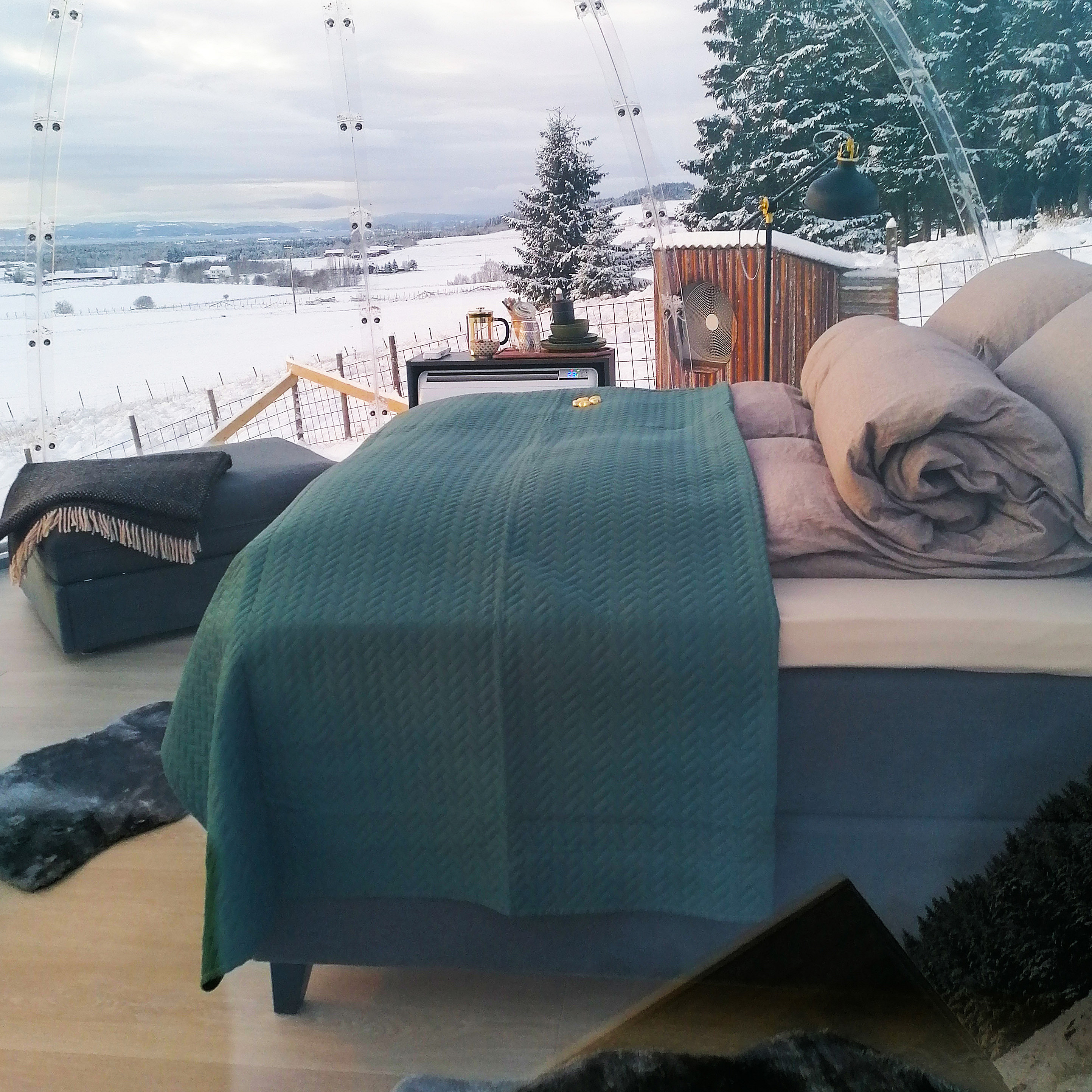 Igloo Dome