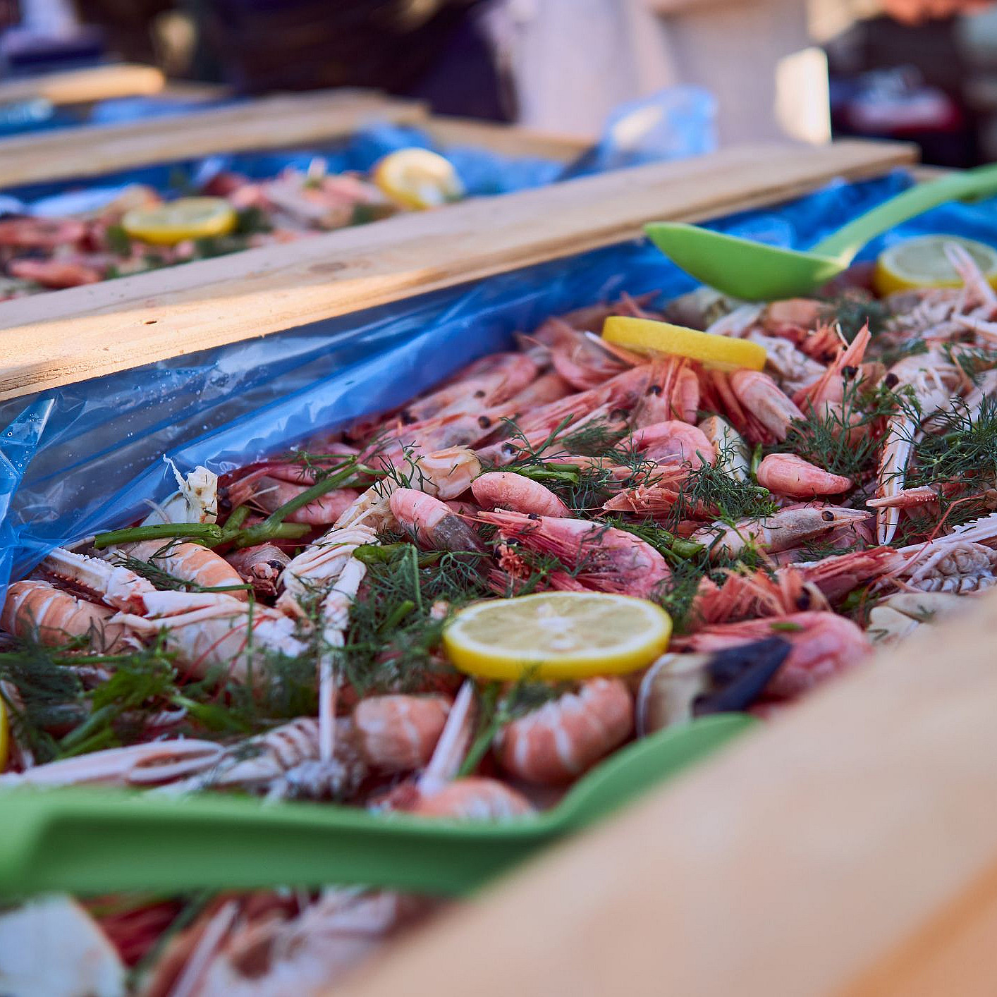 Middagscruise på Oslofjorden