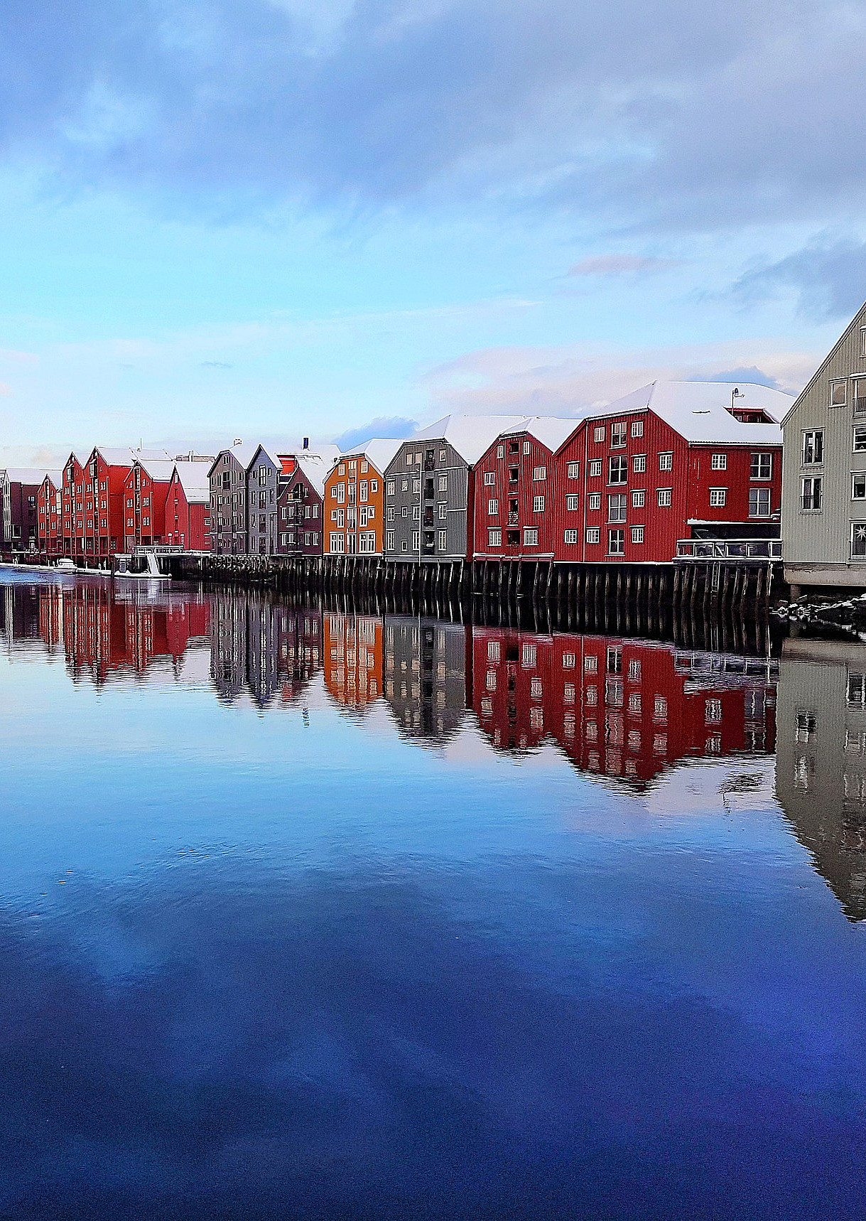 Nidelva cruisetur