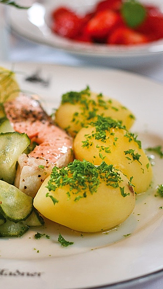 Hjuldamper med middag - image 2