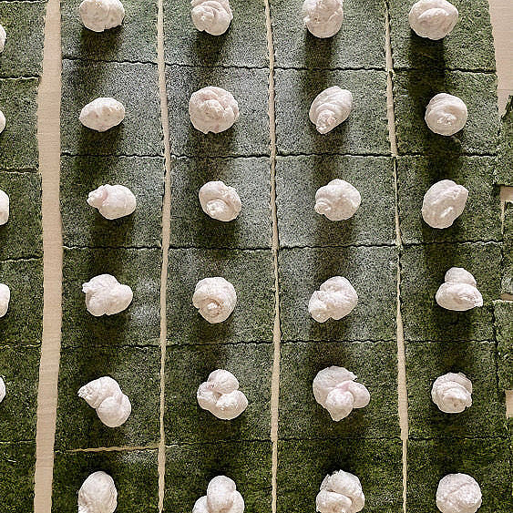 Glutenfri italiensk ravioli masterclass