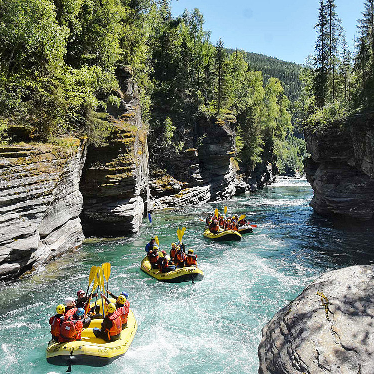 Rafting heldag