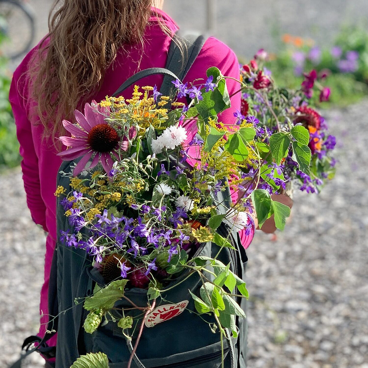 Sankekurs av urter og spiselige blomster