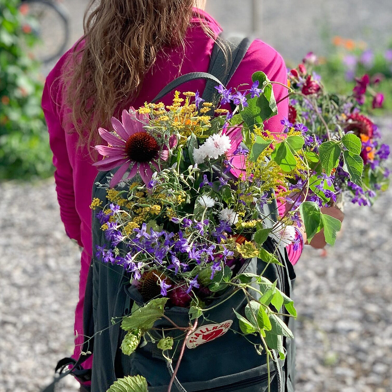 Sankekurs av urter og spiselige blomster