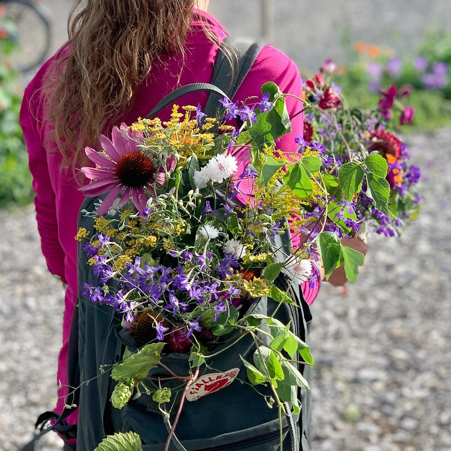 Sankekurs av urter og spiselige blomster