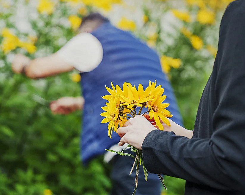 Sankekurs av urter og spiselige blomster