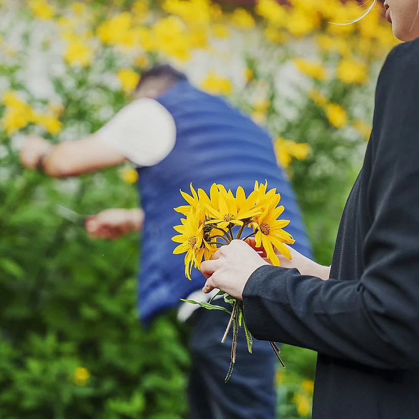 Sankekurs av urter og spiselige blomster