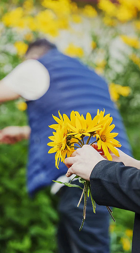 Sankekurs av urter og spiselige blomster