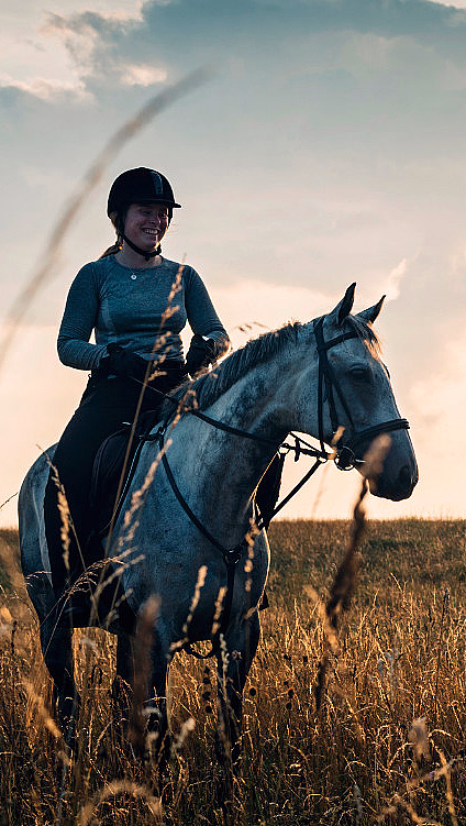 To ryttere på en grå og en brun hest i en eng ved solnedgang