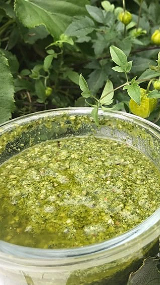 Glasskrukke med grønn pesto omgitt av grønne blader og små gule blomster