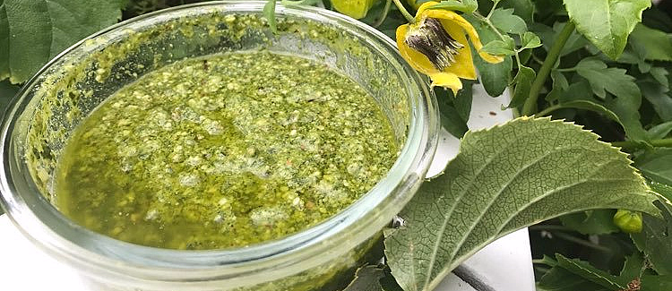 Glasskrukke med grønn pesto omgitt av grønne blader og små gule blomster