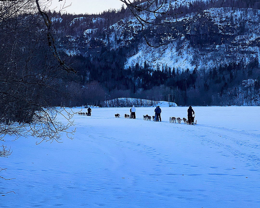 Herregårdsopphold og hundekjøring - image 4