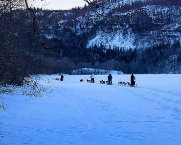 Herregårdsopphold og hundekjøring - image 4