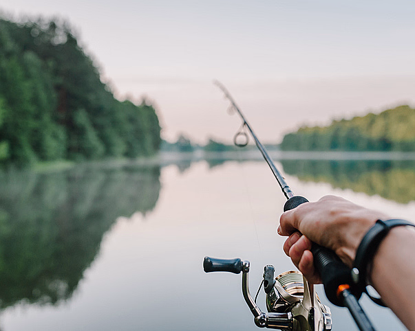 En hånd som holder en fiskestang over et stille vann med skog i bakgrunnen