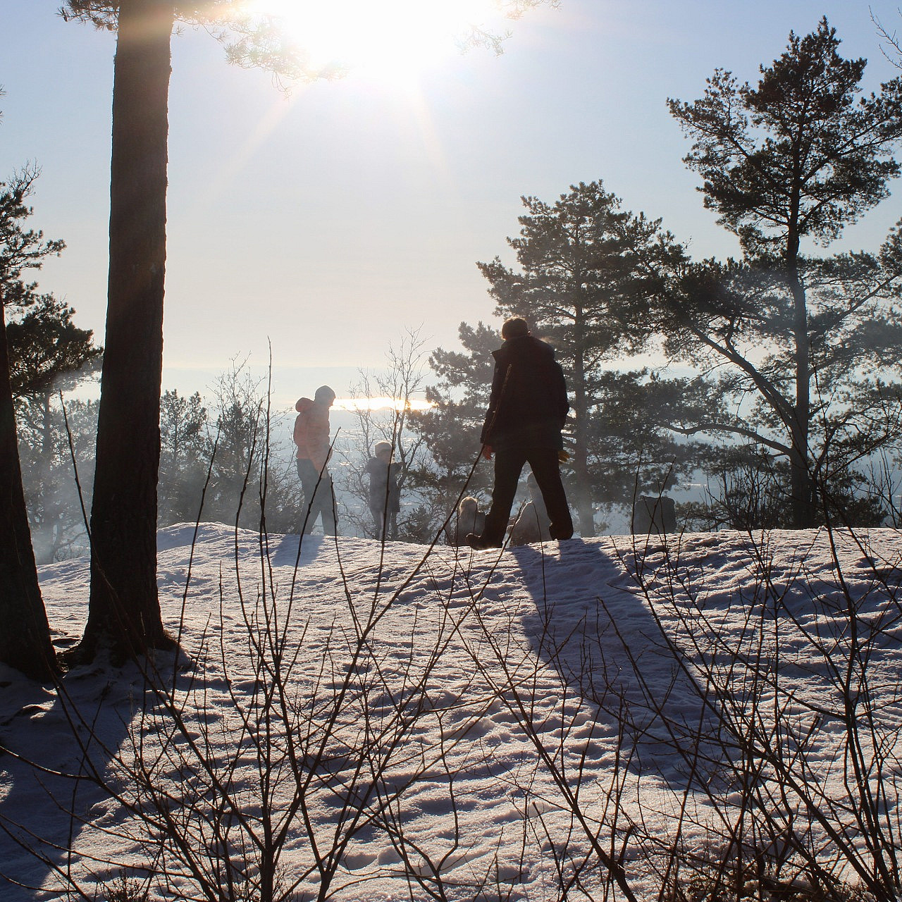 Oslo Fjordpanorama hiking tour