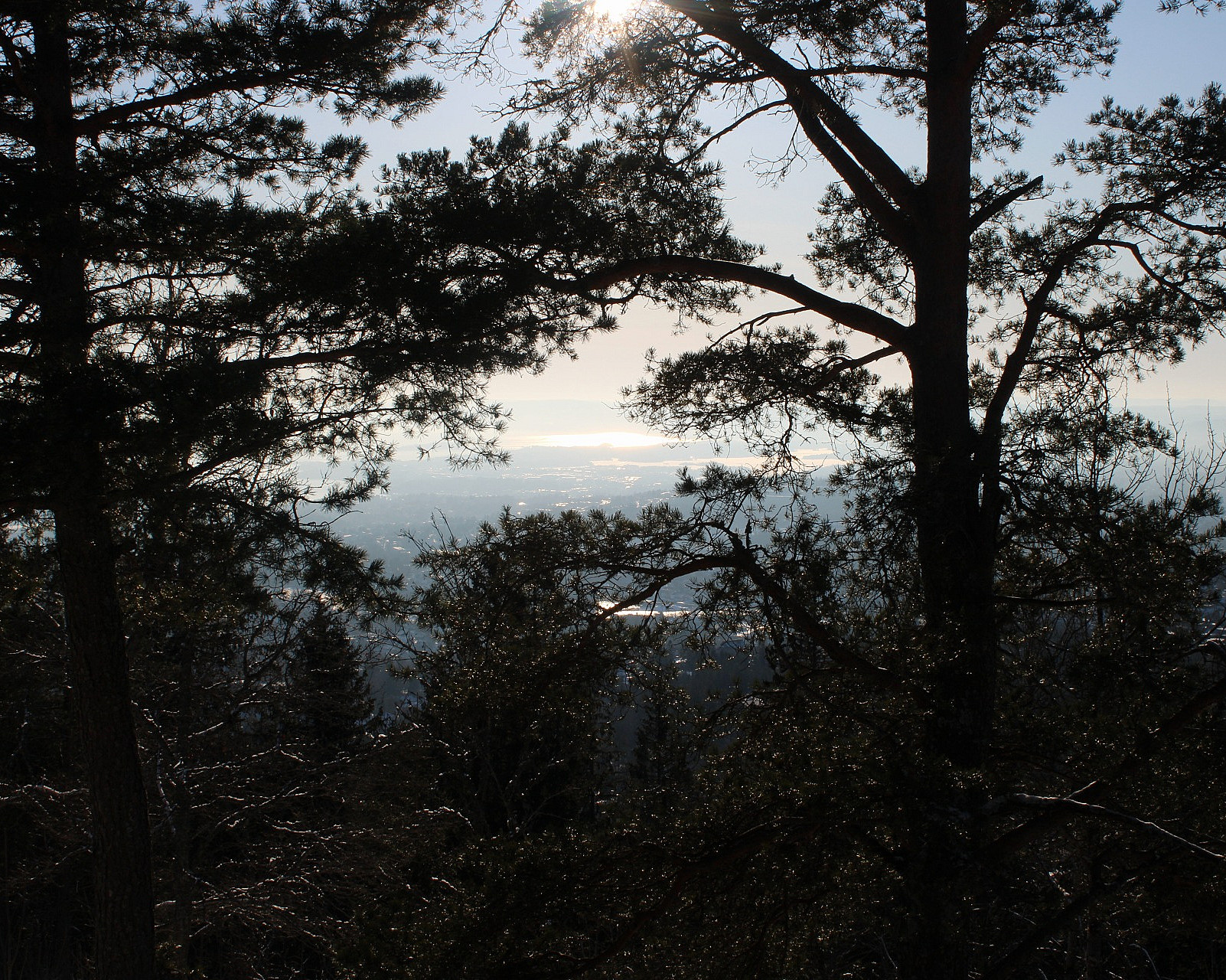 Oslo Fjordpanorama hiking tour