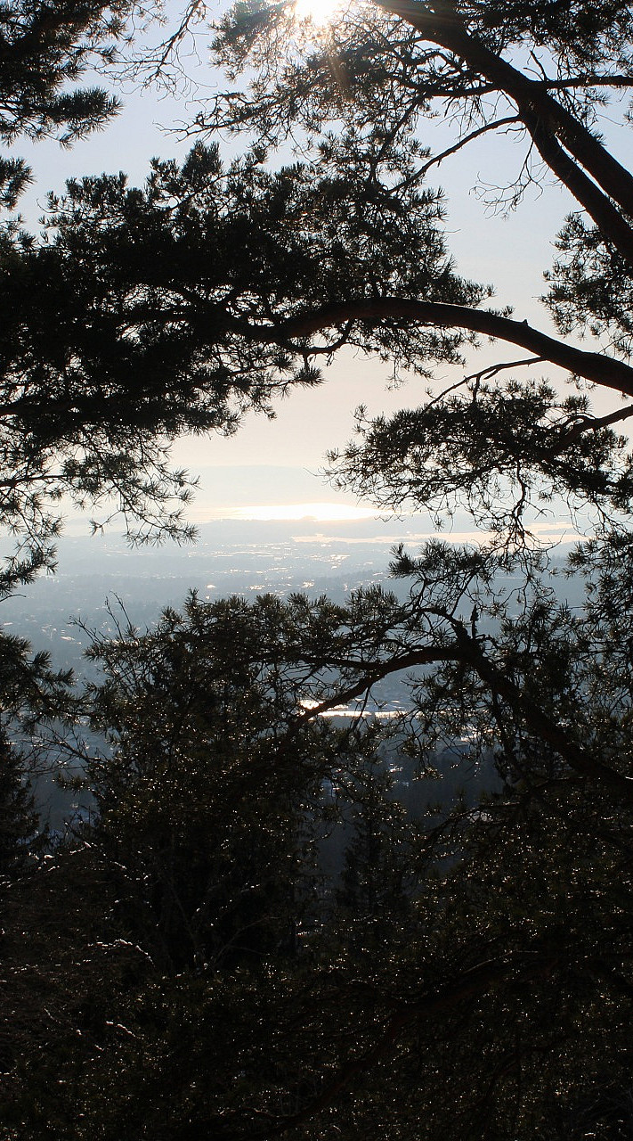 Oslo Fjordpanorama hiking tour
