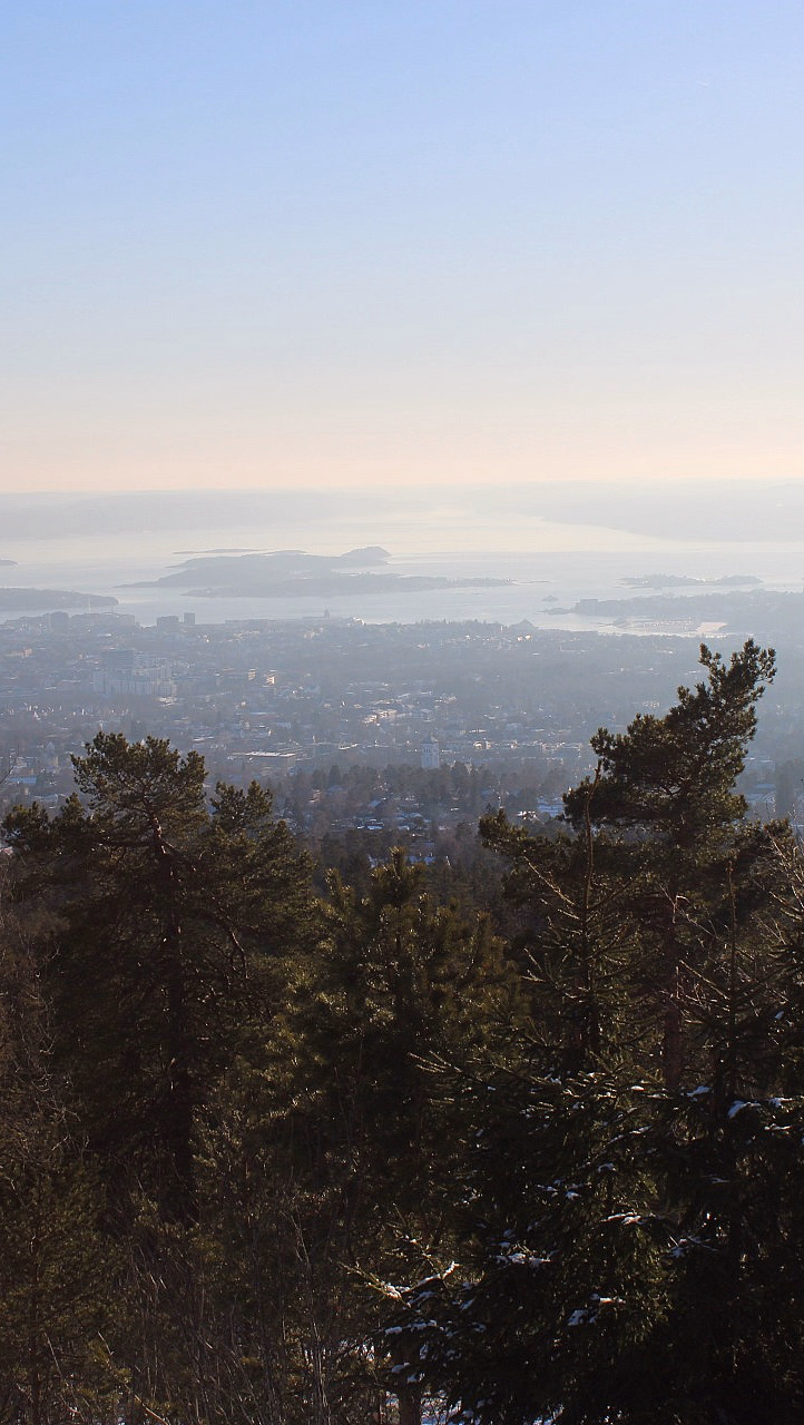 Oslo Fjordpanorama hiking tour - image 4