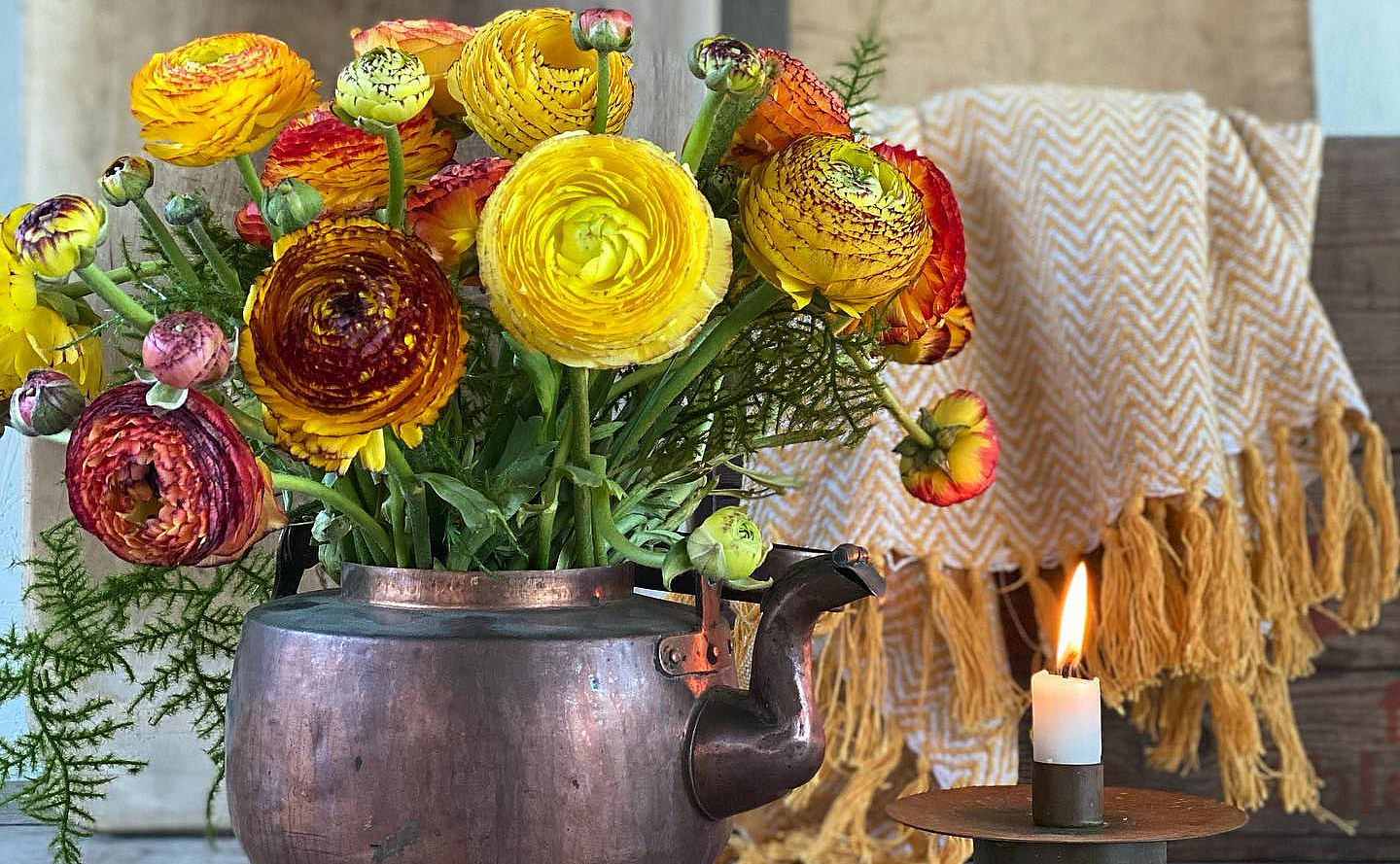 Lær å dyrke blomster hjemme