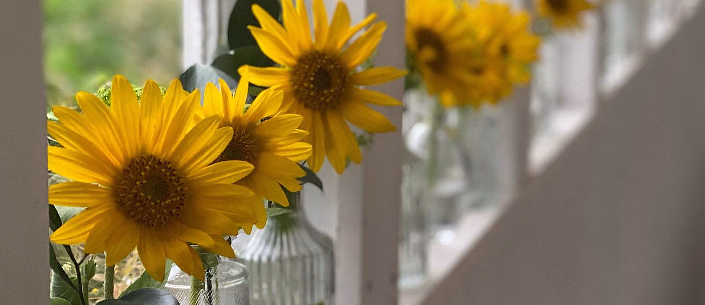 Lær å dyrke blomster hjemme - image 2