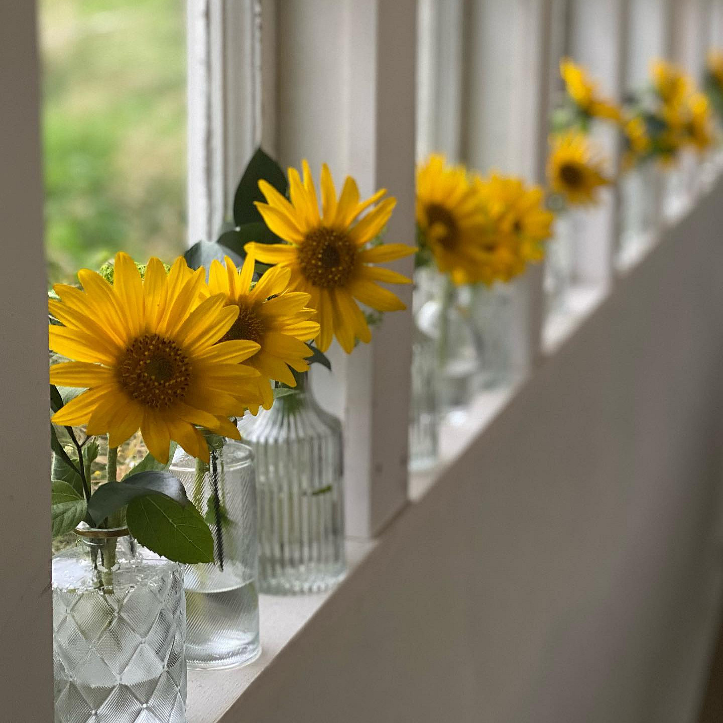 Lær å dyrke blomster hjemme