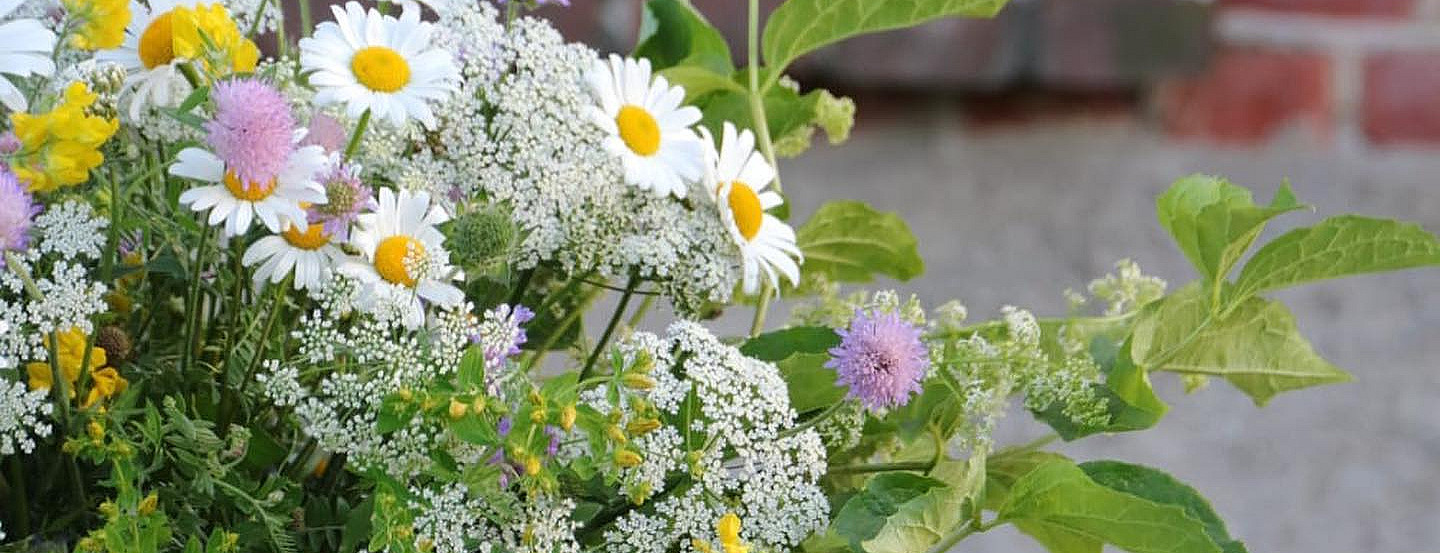 Lær å dyrke blomster hjemme