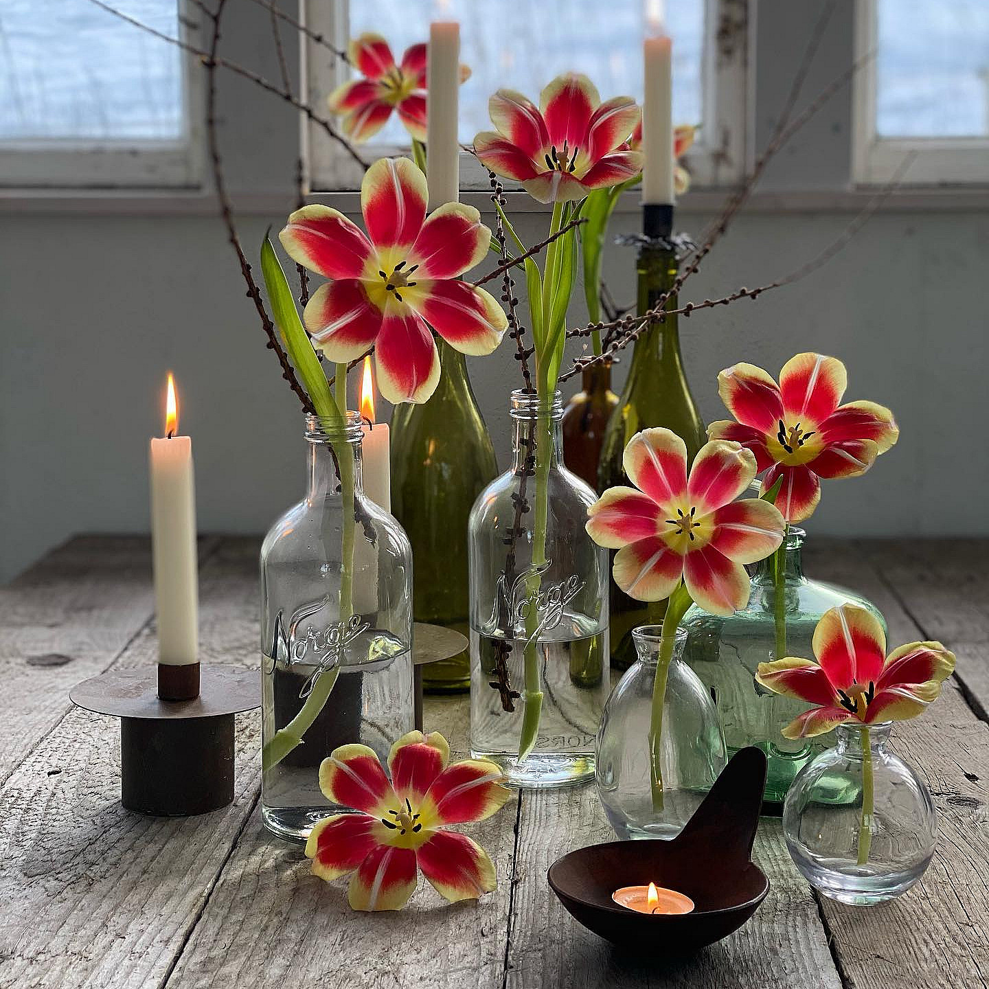 Lær å dyrke blomster hjemme