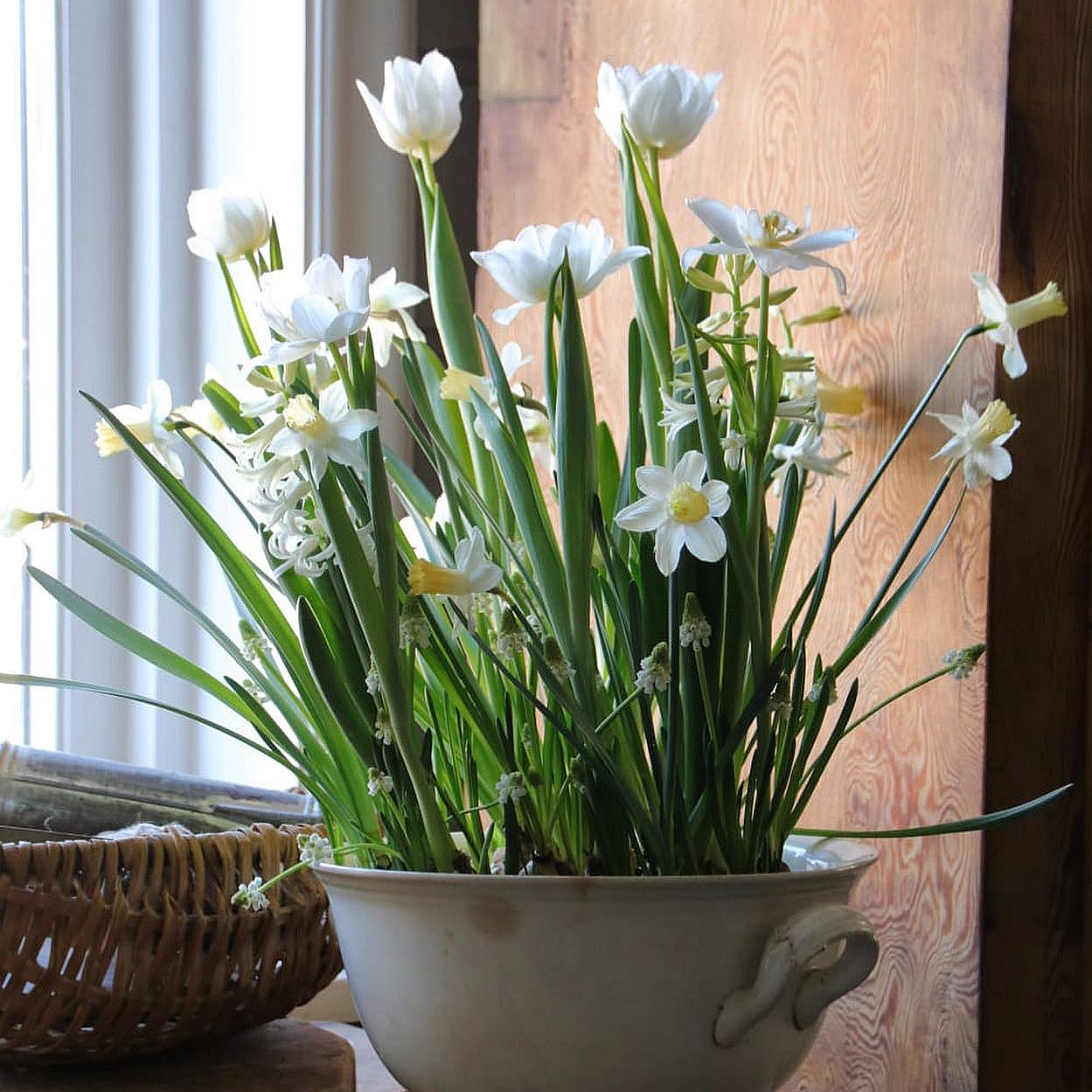 Lær å dyrke blomster hjemme