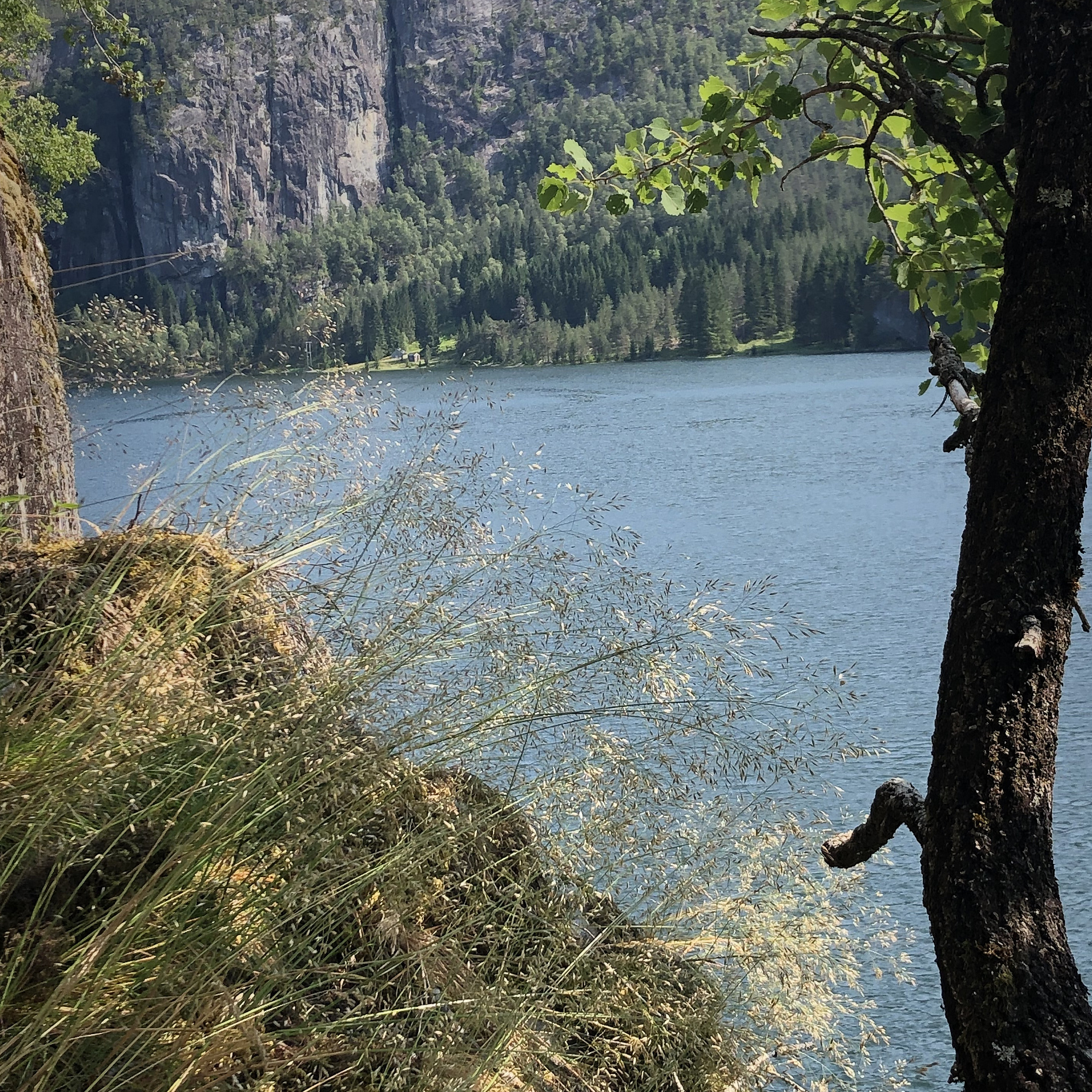 Historisk smaksvandring ved Osterfjorden