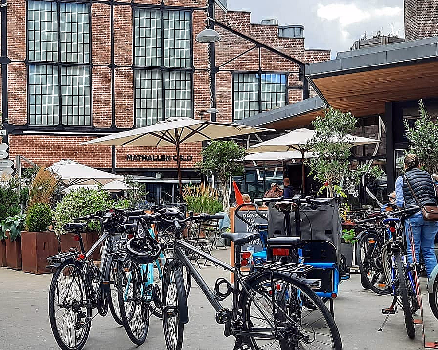 Oslo el-bike panorama tour - image 3