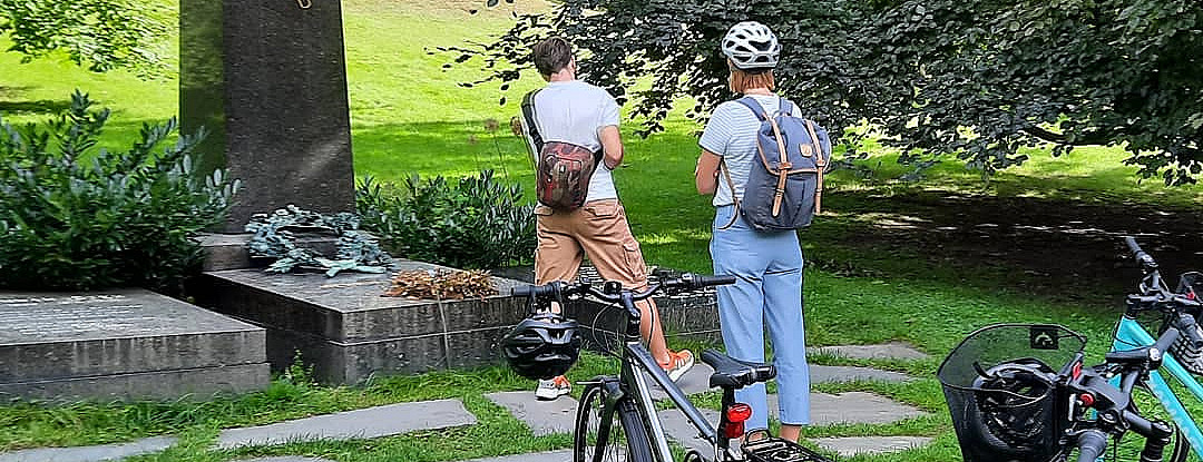 Oslo el-bike panorama tour