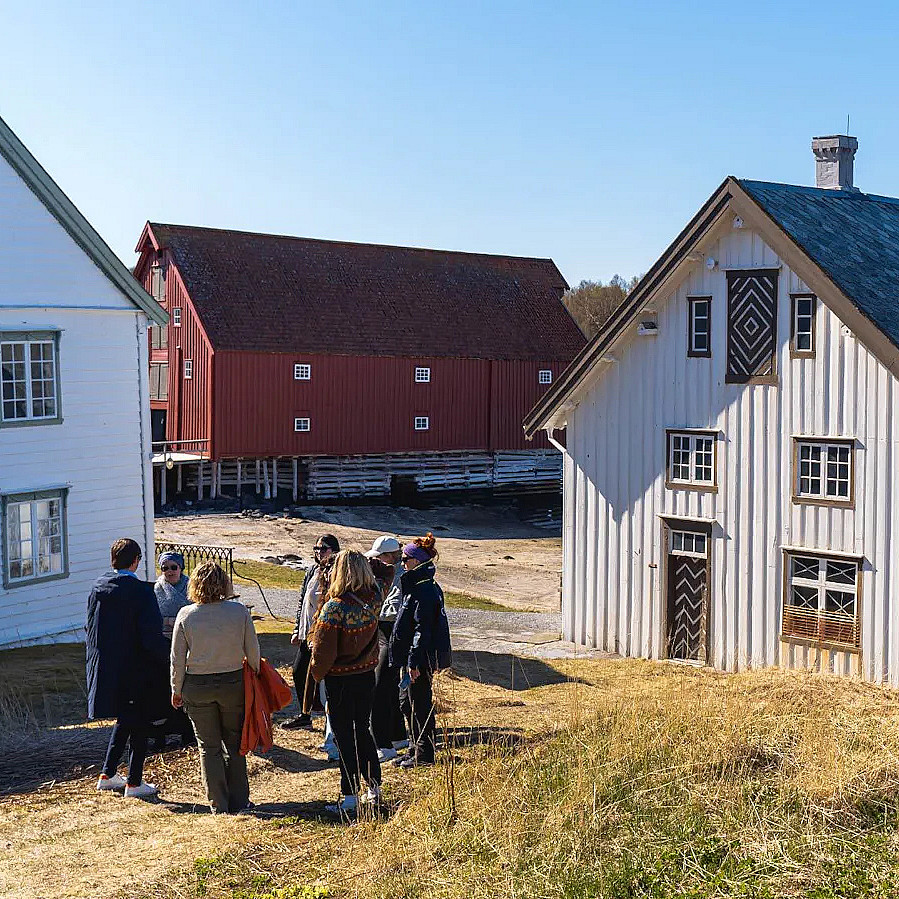 Kjerringøy cruise