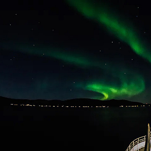 Nordlyscruise