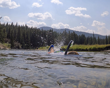 Person som snorkler i en elv omgitt av skog og fjell