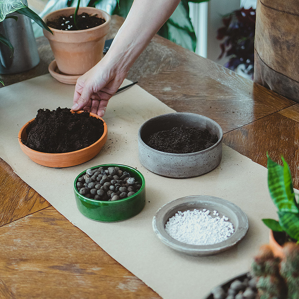 Plantekurs med Arctic Gardener
