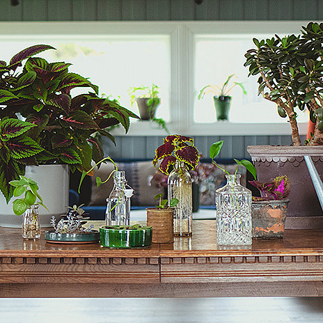 Plantekurs med Arctic Gardener