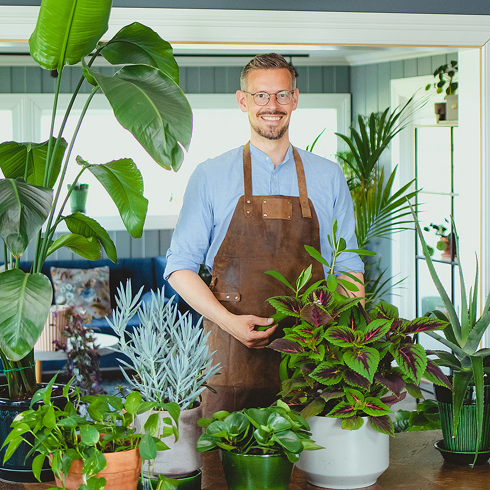 Plantekurs med Arctic Gardener