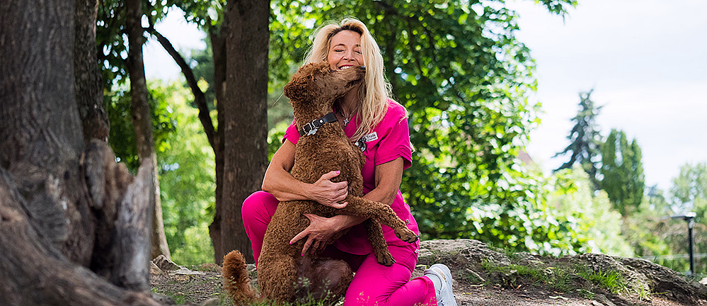 Hundekurs med Trude Mostue - image 2