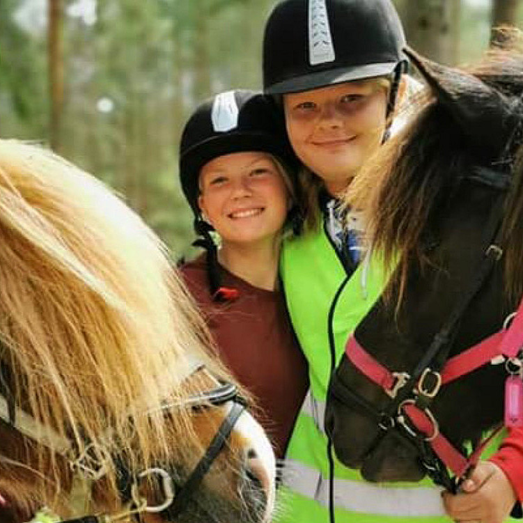 Halvdagstur på islandshest