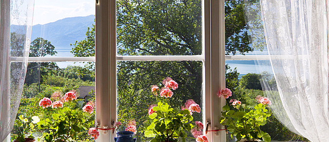 Rosa blomster i vinduskarm med tynne gardiner og utsikt mot innsjø og fjell